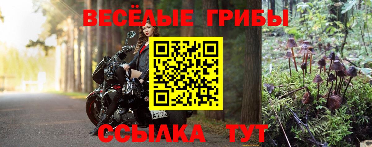 Псилоцибиновые грибы Magic Shrooms Ливны